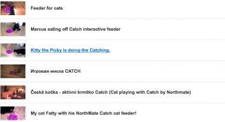 northmate catch interactive cat feeder