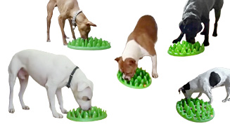 Karlie Northmate Green Mini Anti-Gluttony Feeding Dish for Dog Green 29 x 22.5 x 7 cm